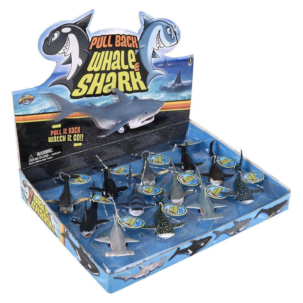 Pull Back Whale And Shark Assortment (1 DSP)