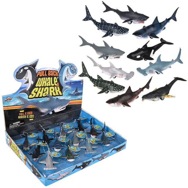 Pull Back Whale And Shark Assortment (1 DSP)