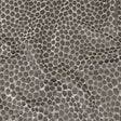 British Imported Graphite Satin-Faced Pentagonal Drapery Jacquard