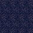 Cotton Fabric Admiral Stars Path to Freedom 44/45"