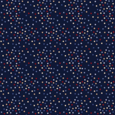 Cotton Fabric Admiral Stars Path to Freedom 44/45"