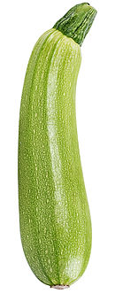 MEXICAN SQUASH
