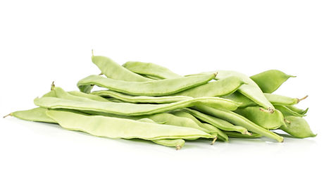 ROMANO BEANS