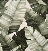 Cotton Upholstery Fabric All Over Banana Leaf