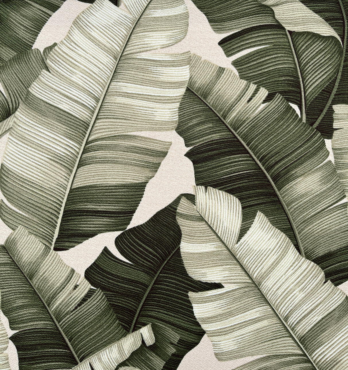 All Over Banana Leaf Cotton Heavy Barkcloth Fabric - Banana Leaf Print, 36" X 56" (1 Yard)