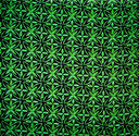 Polyester Poplin Fabric Watercolor Blossoms