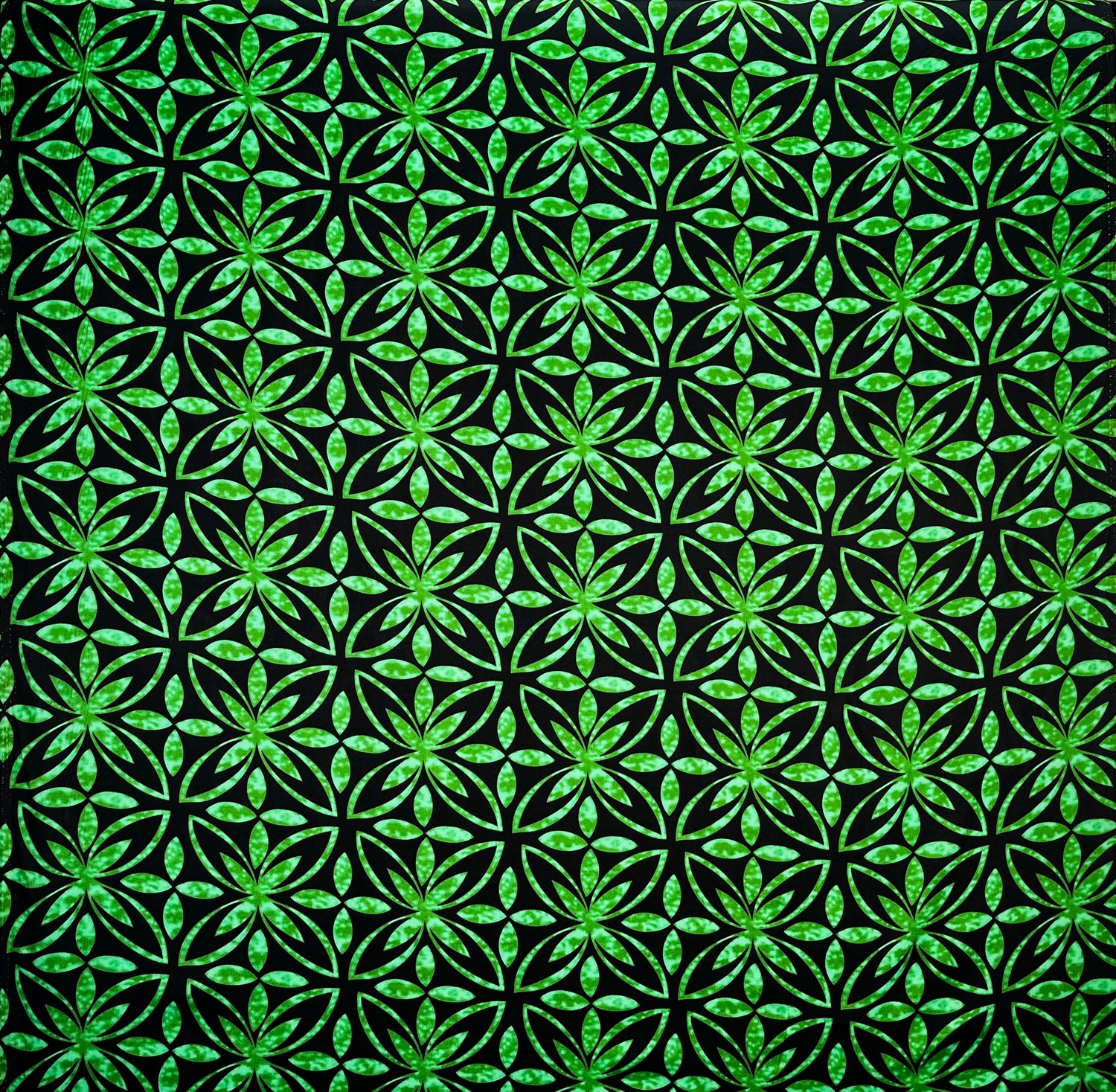 Polyester Poplin Fabric Watercolor Blossoms