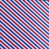 Swim Knit Americana Diagonal Stripes Nylon Spandex