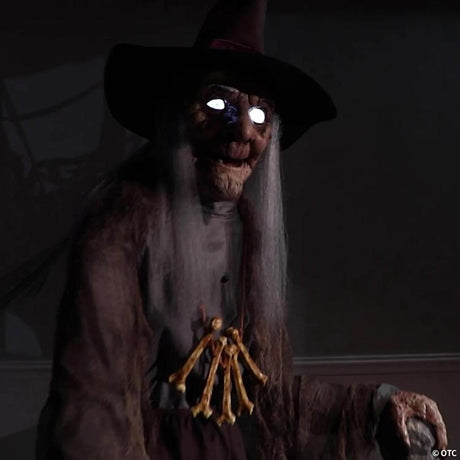 Animated Crone Witch Halloween Prop with Glowing LED Eyes and Motor, lights up for a spooky Halloween night display