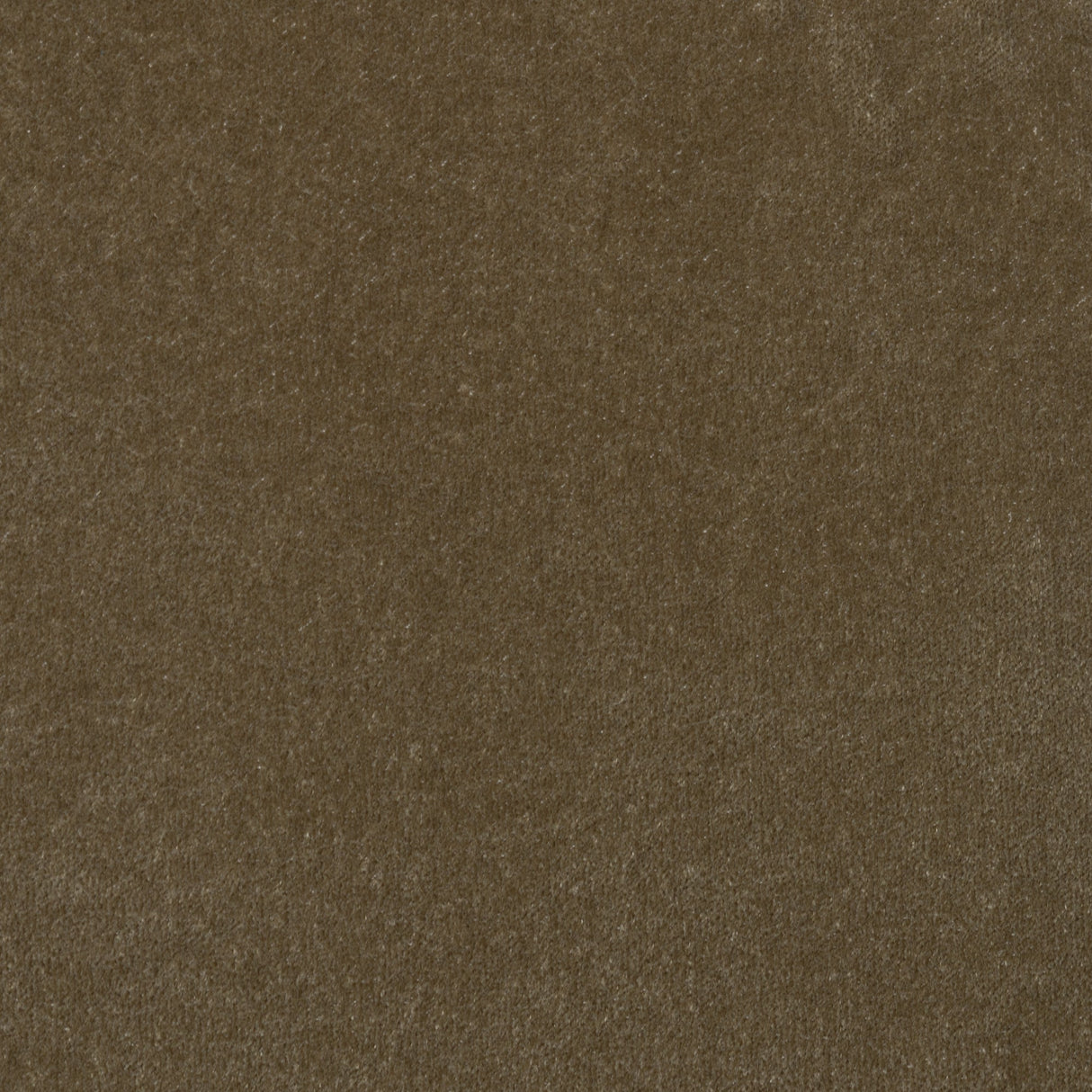 Velvet Upholstery Fabric Ankara Multi-Tonal Effect Solid