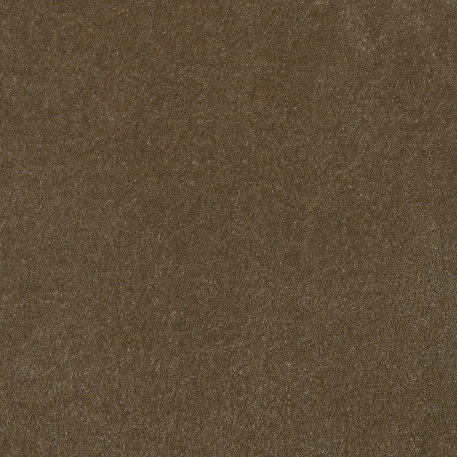 Velvet Upholstery Fabric Ankara Multi-Tonal Effect Solid