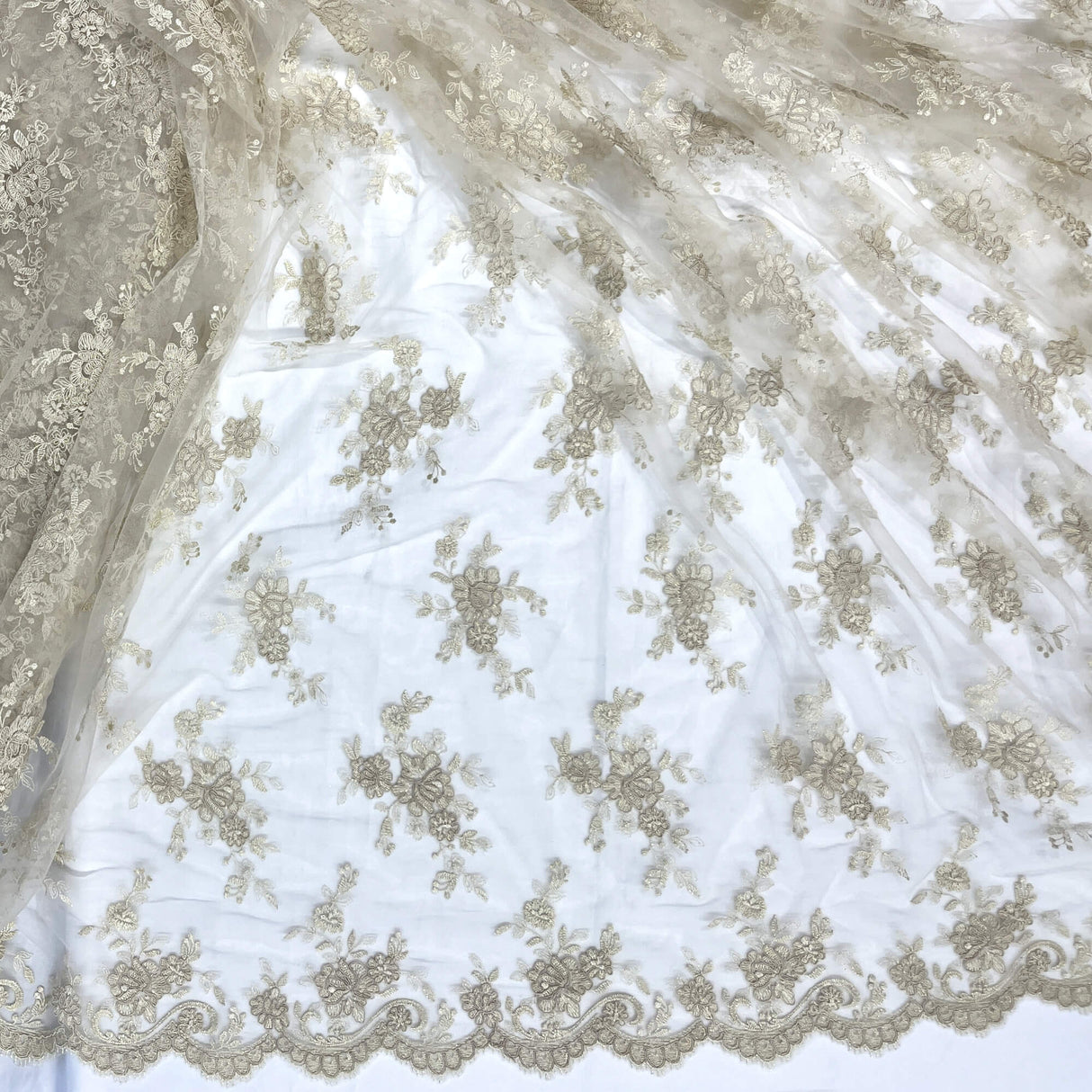 Corded Embroidered Lace Mesh