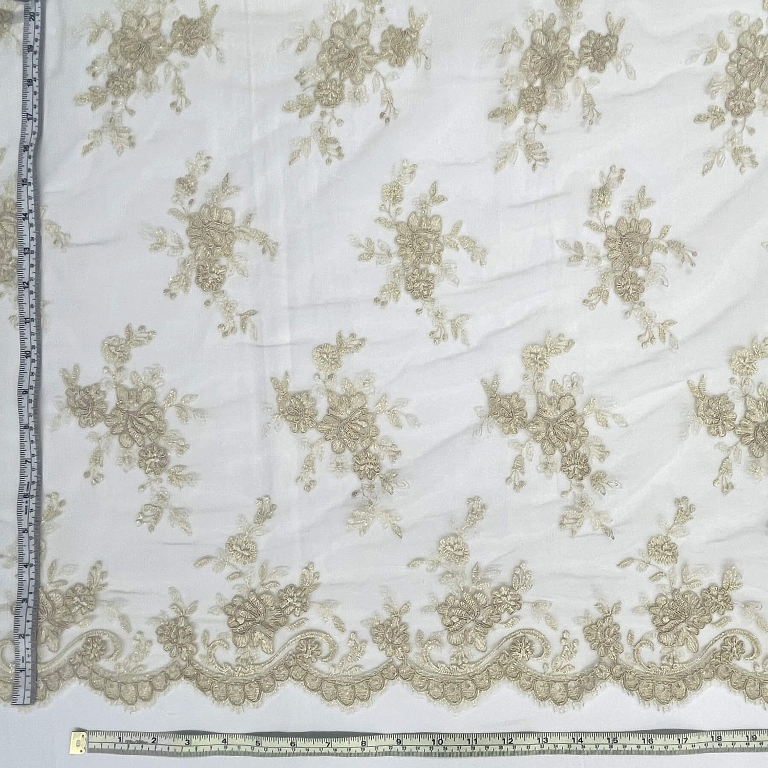 Corded Embroidered Lace Mesh
