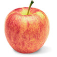 Apple Gala Big