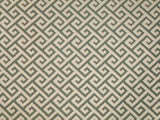 1 Yard Darius Application Upholstery Drapery 55 Inches Wide