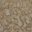 Stretch Lace Sequin Fabric