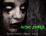 The Asylum Royalty Free Music CD