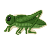 Grasshopper Cookie Cutter 3.5 In. B1369