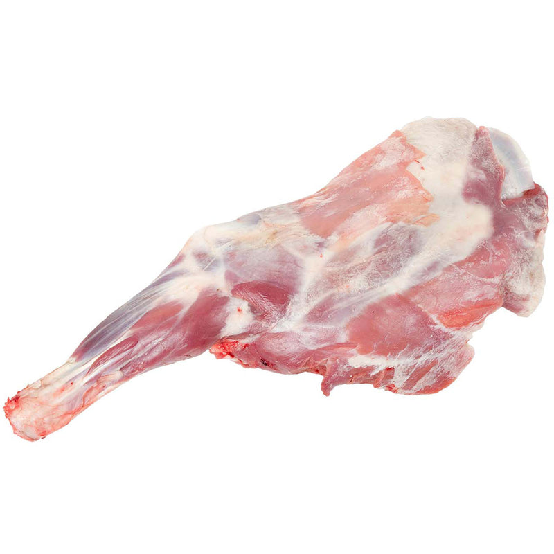 BABY GOAT back LEG