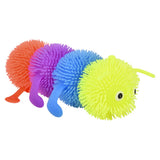 Caterpillar Puffer (1 DZ)