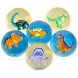 Dinosaur Hi-Bounce Ball (1 DZ)
