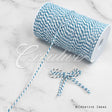 Baker's Twine Cord-200 Yds (White/Blue)