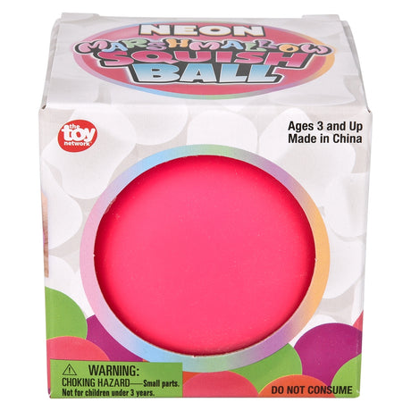 Neon Squishy Ball 2.5" (12 Pc Display)