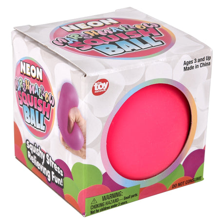 Neon Squishy Ball 2.5" (12 Pc Display)