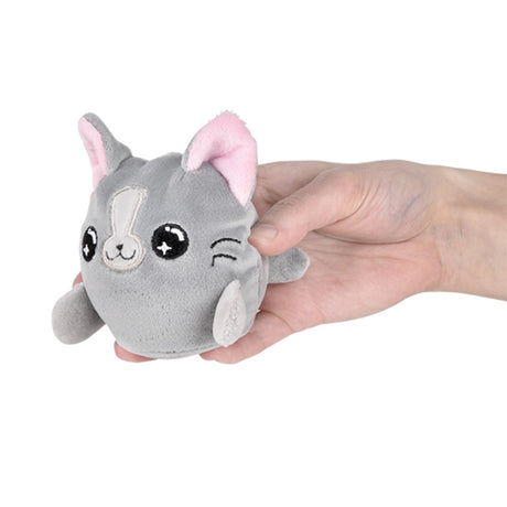 Cat squeezy bead plush 12-piece party display