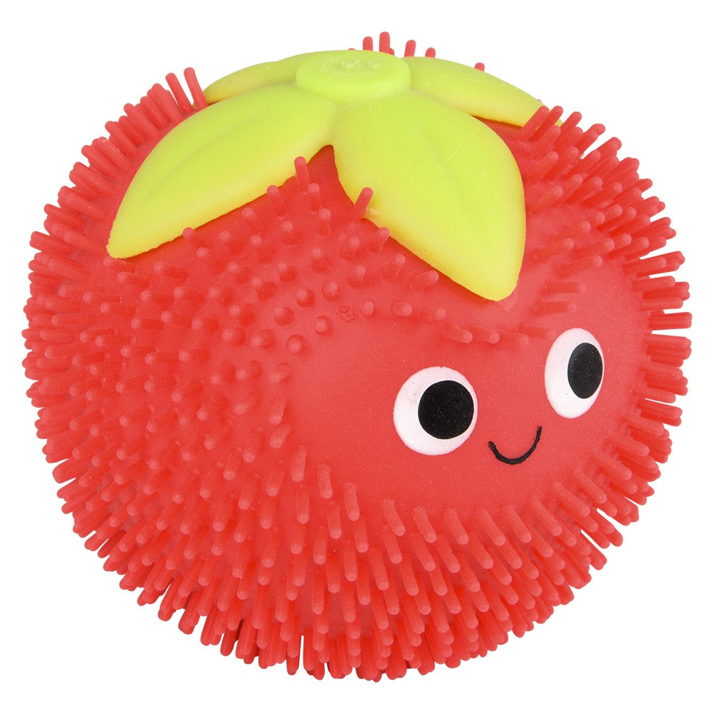 Puffer Fruit Squeeze Toys (12 PC Display)