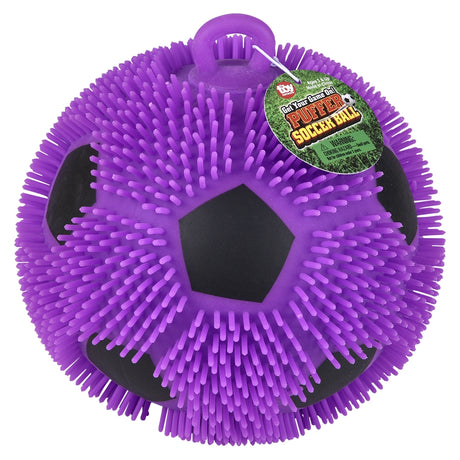 Puffer Soccer Ball (1 DSP)