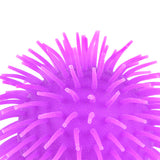 Puffer Ball 5" (1 DZ)