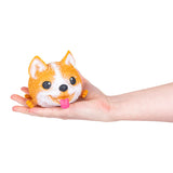 Squish And Stretch Puffy Dog (12 PC Display)