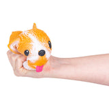 Squish And Stretch Puffy Dog (12 PC Display)