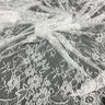3 Yards Chantilly Embroidered Lace Fabric with Eyelash Scallop