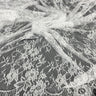 Embroidered Chantilly Lace with Eyelash Scallop