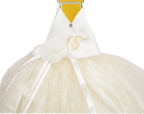 Ivory Glitter Quinceañera Champagne Bottle Dress – Pack of 3