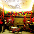 Balloon Drop Net 14ft x 2ft