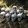 Bag of Skulls Halloween Decorations - 12 Pc.