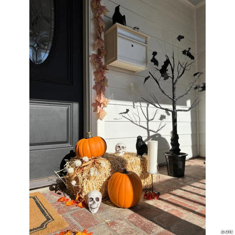 Bag of Realistic Plastic Skulls Halloween Decorations for Display, for spooky Halloween party and home decor