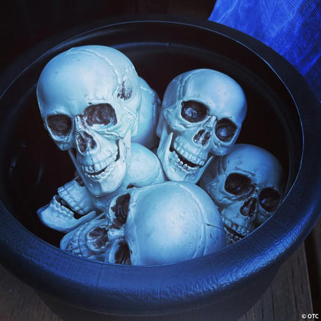 Bag of Realistic Plastic Skulls Halloween Decorations for Display, for spooky Halloween party and home decor