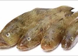 Baila Fish 500GM