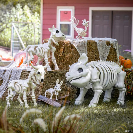 Barnyard Farm Animal Skeletons Assortment Halloween Kit for Display, for spooky Halloween party and home decor