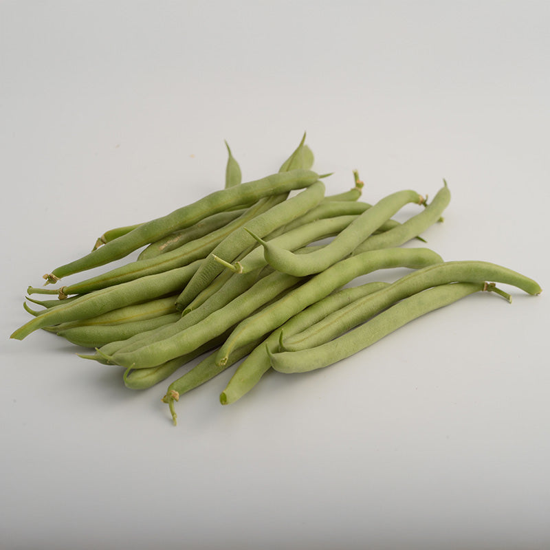 Bean Momentum Raw Untreated - 80,000 seeds