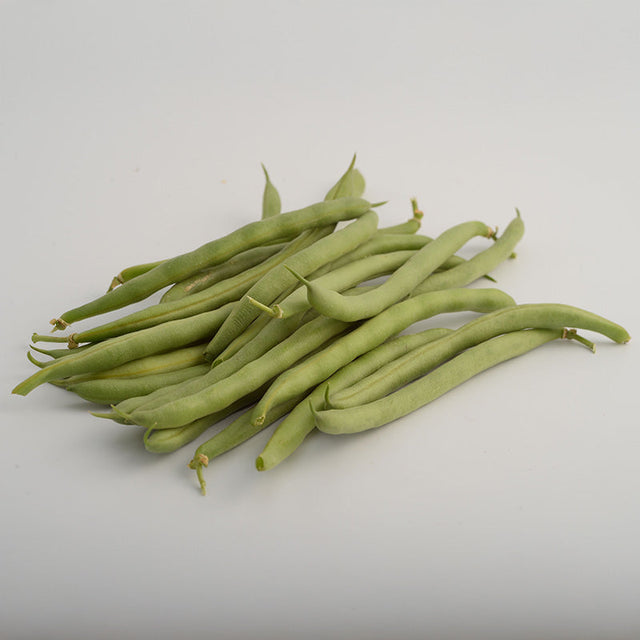Bean Momentum Raw Untreated - 80,000 seeds
