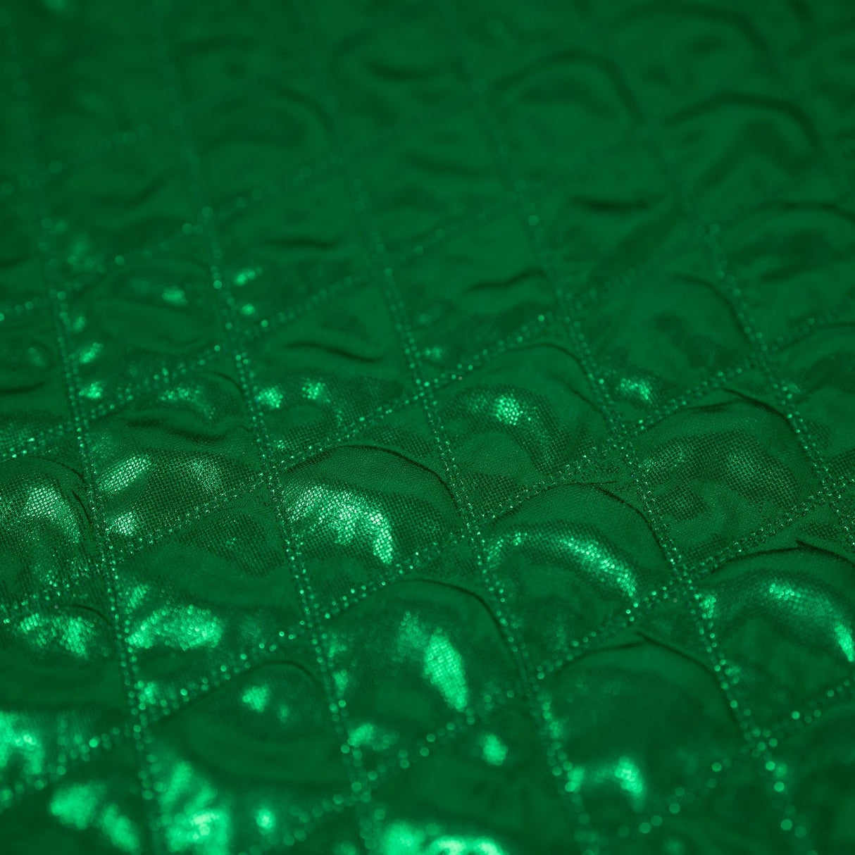 Embossed Metallic Polyester Fabric