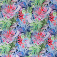 Swim Knit Birds in Paradise Nylon Spandex