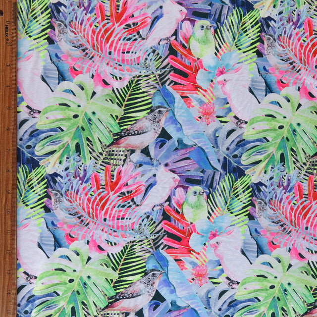 Swim Knit Birds in Paradise Nylon Spandex