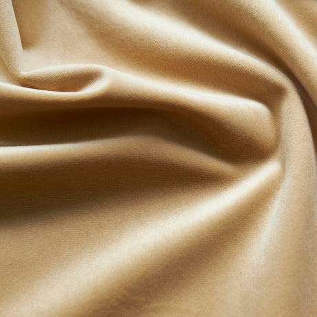 1 Yard Giselle Velvet Application Upholstery Drapery