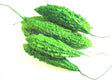 Bitter Gourd (Korola)